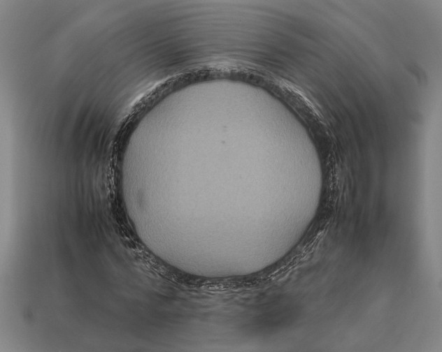 X0000113070776200909250928