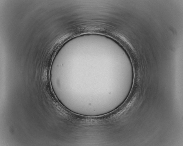 X0000113070777200909250928