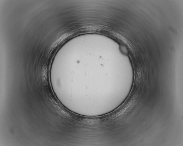 X0000113070778200909250928