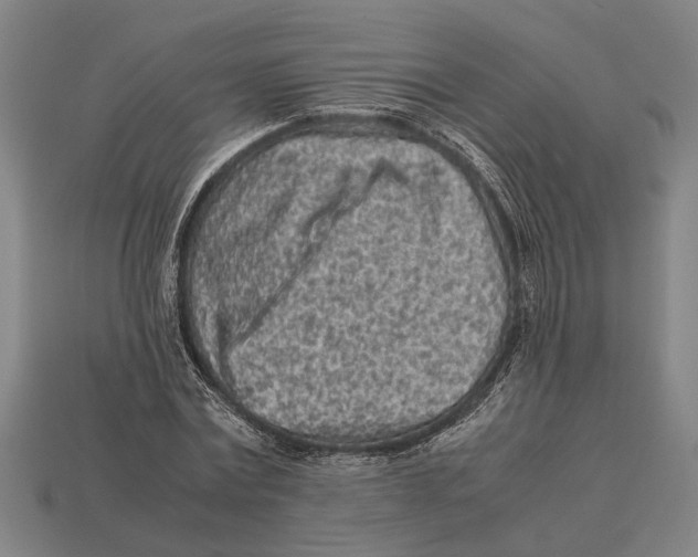 X0000113070779200909250928