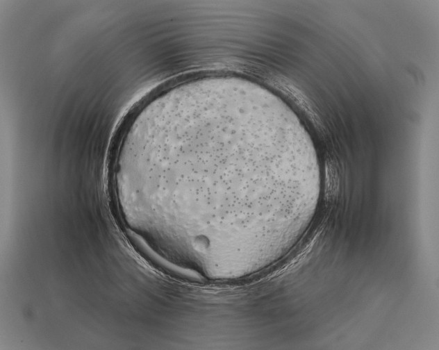 X0000113070780200909250928