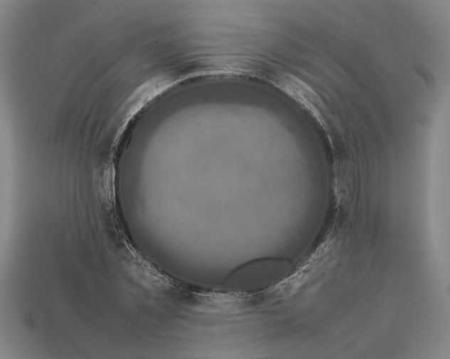 X0000113070781200909250928