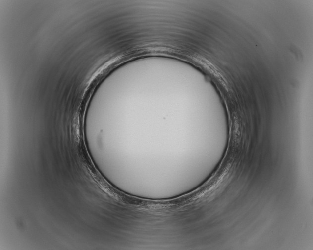 X0000113070782200909250928