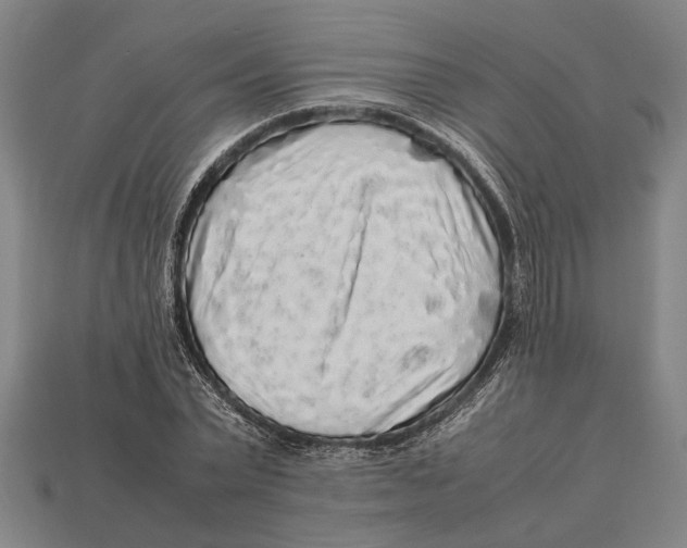 X0000113070783200909250928
