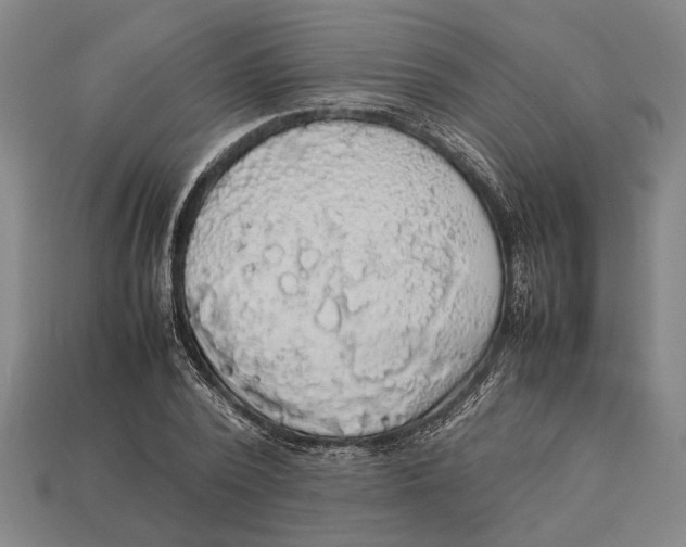 X0000113070784200909250928