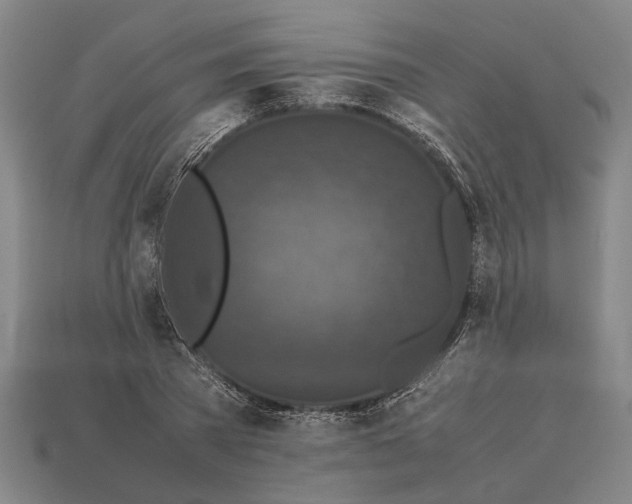 X0000113070785200909250928