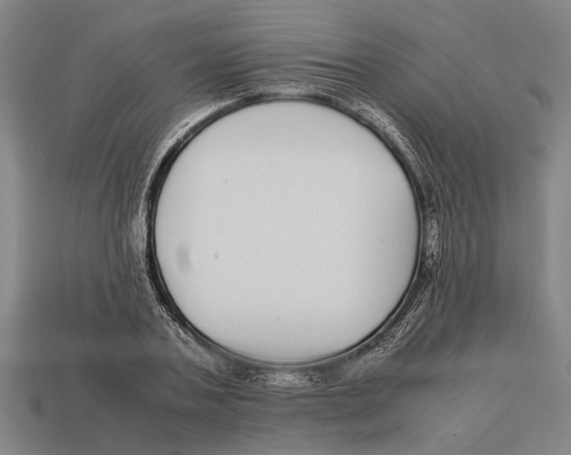X0000113070787200909250928