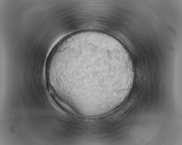 X0000113070788200909250928