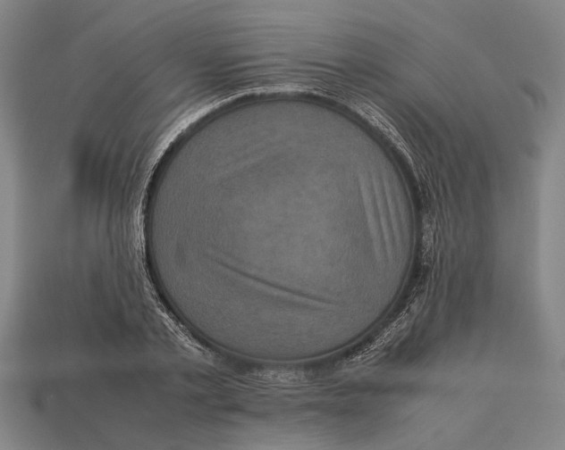 X0000113070789200909250928