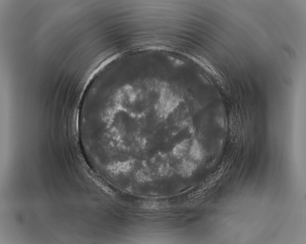 X0000113070790200909250928