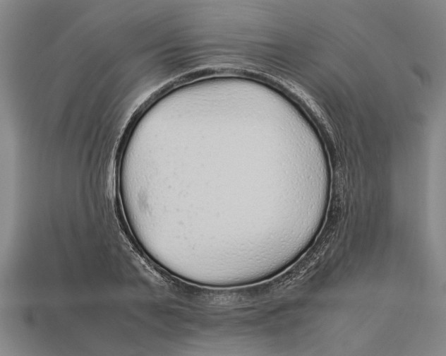 X0000113070791200909250928