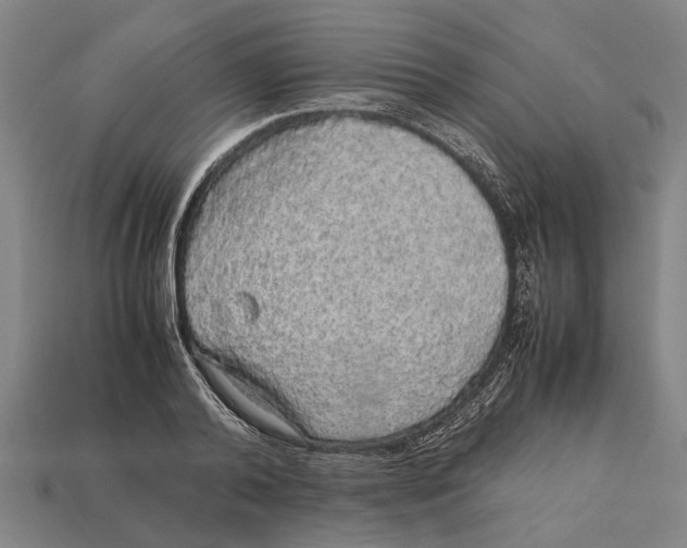X0000113070792200909250928