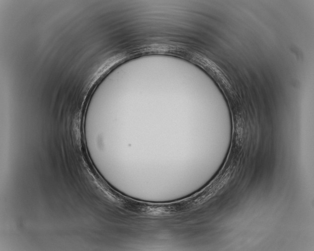 X0000113070794200909250928