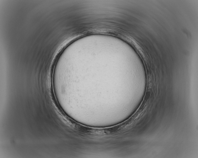 X0000113070795200909250928