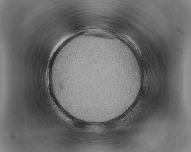 X0000113070796200909250928