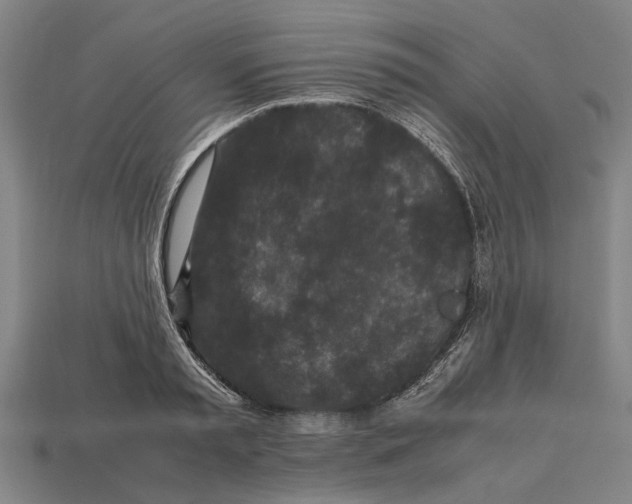 X0000113070797200909250928