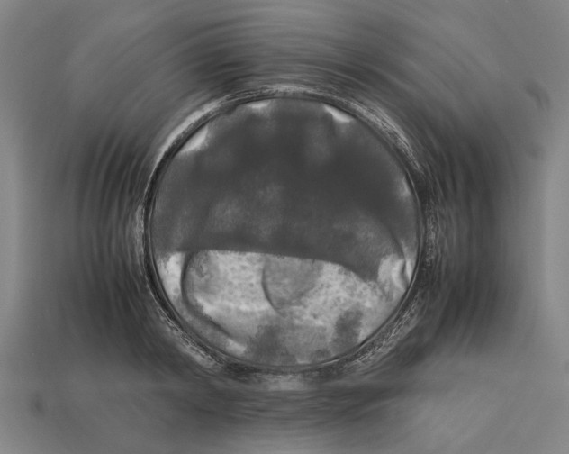 X0000113070798200909250928