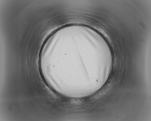 X0000113070799200909250928