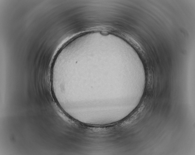 X0000113070800200909250928