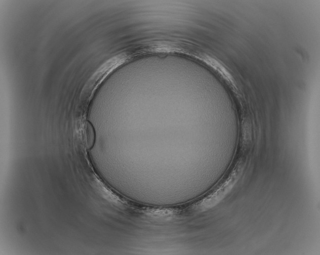 X0000113070801200909250928