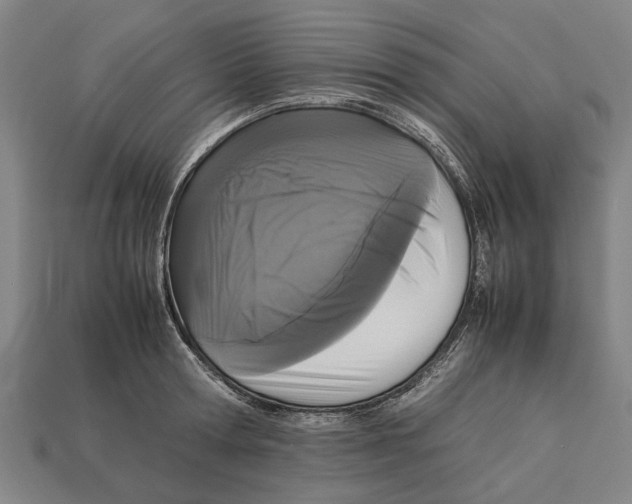 X0000113070802200909250928