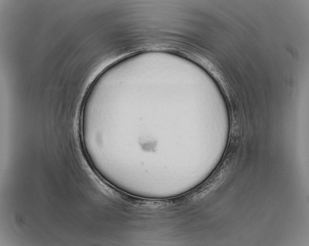 X0000113070803200909250928