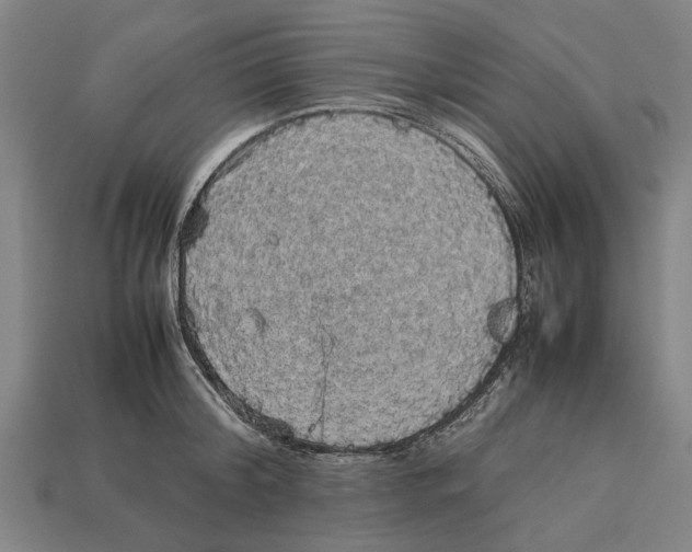 X0000113070804200909250928
