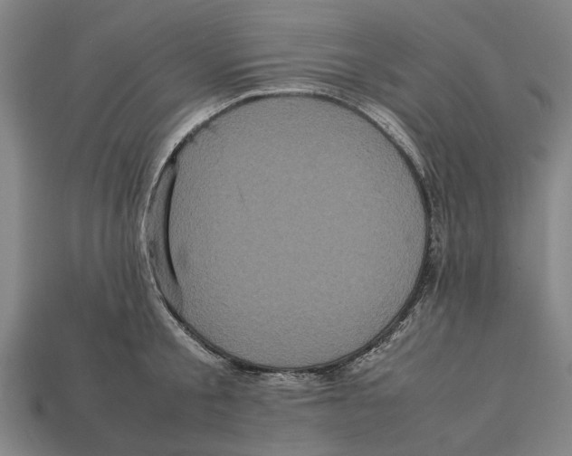 X0000113070805200909250928