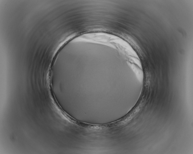 X0000113070806200909250928