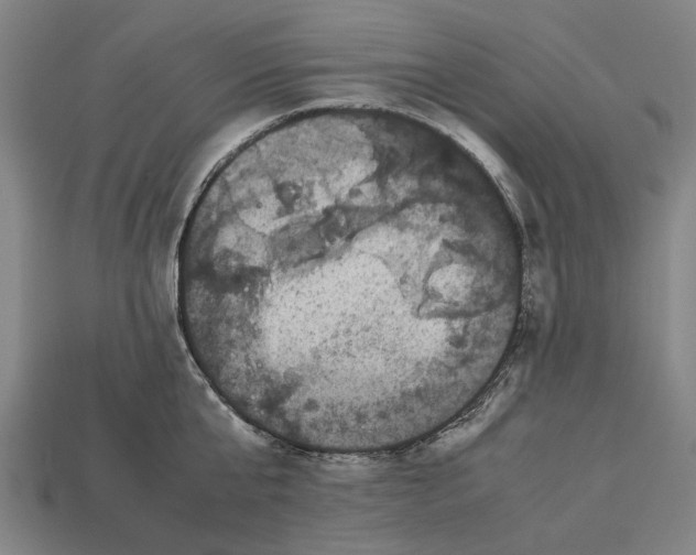 X0000113070807200909250928