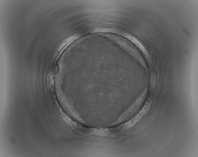 X0000113070809200909250928