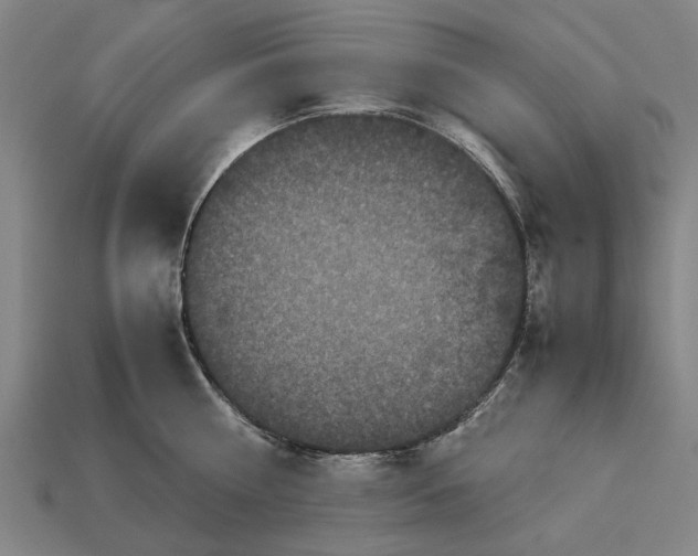 X0000113070810200909250928