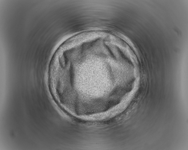 X0000113070811200909250928