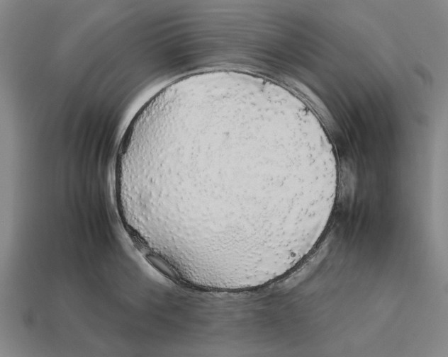 X0000113070812200909250928