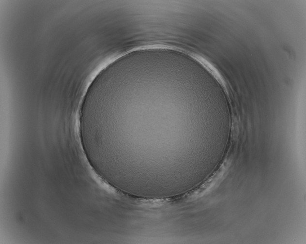 X0000113070813200909250928