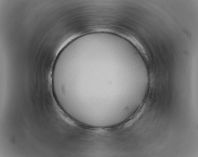 X0000113070814200909250928
