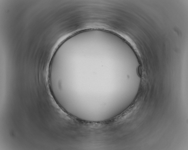 X0000113070815200909250928