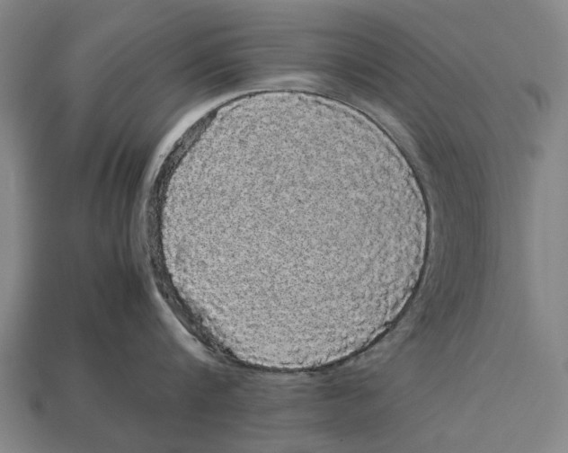 X0000113070816200909250928