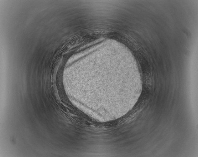 X0000113070818200909250927