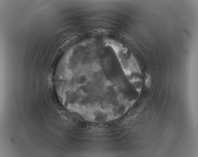 X0000113070819200909250927