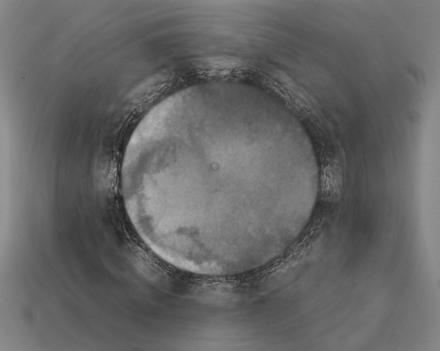 X0000113070820200909250927