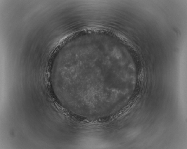 X0000113070822200909250927