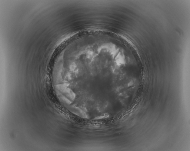 X0000113070823200909250927