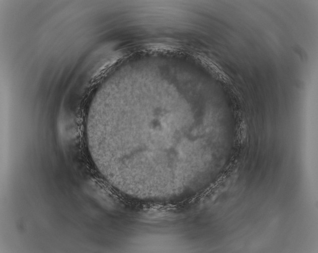 X0000113070824200909250927