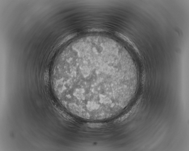 X0000113070825200909250927