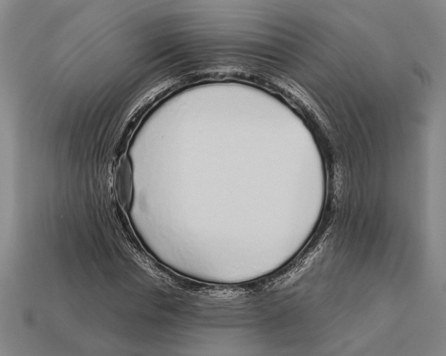 X0000113070826200909250927