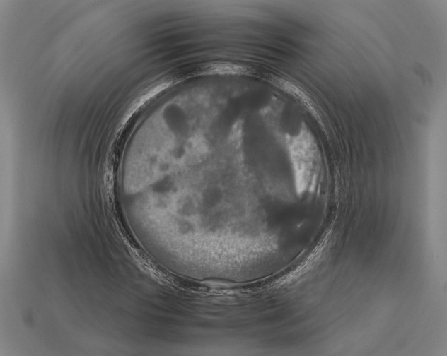 X0000113070827200909250927