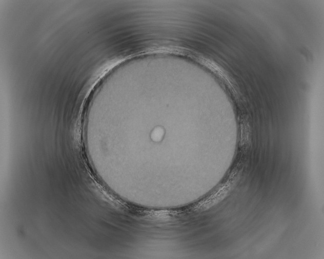 X0000113070828200909250927