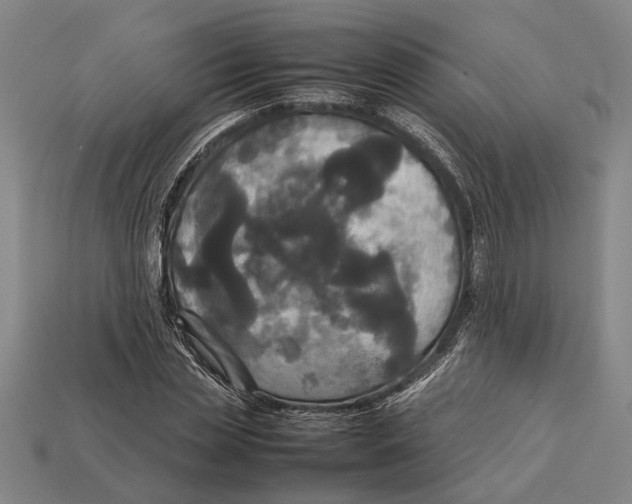 X0000113070829200909250927