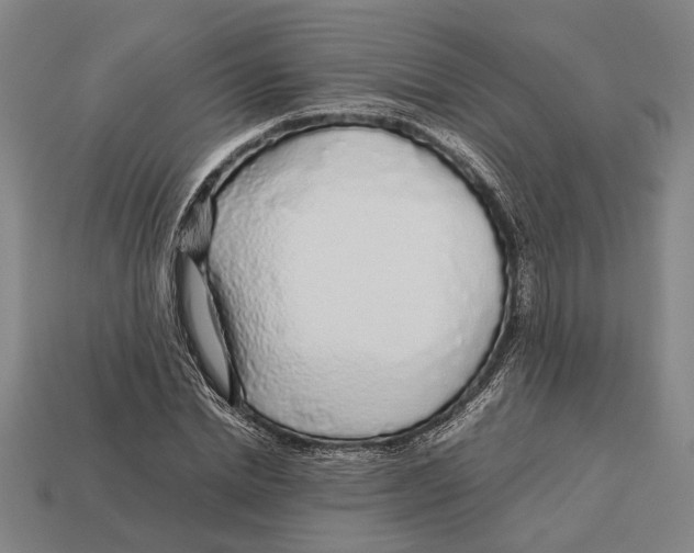 X0000113070830200909250927